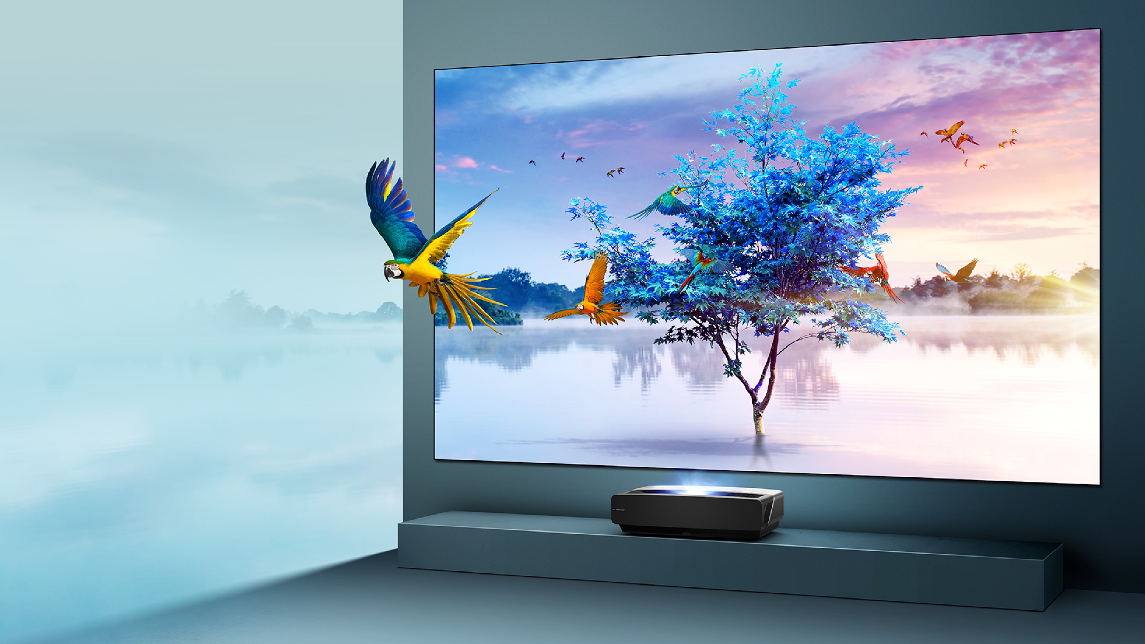 Hisense 100L5 - Create a Whole New World