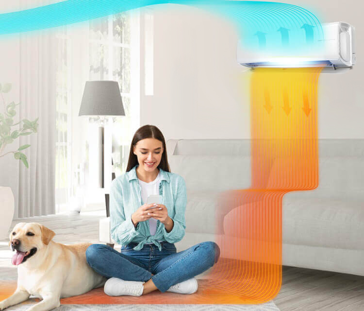 Hisense Ceiling and Ground Airflow Mobile