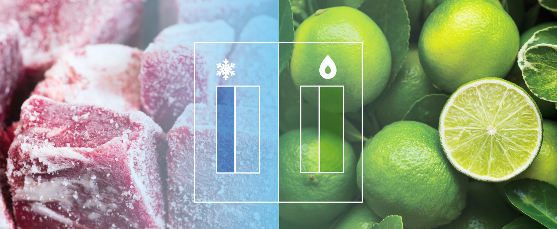 Hisense BCD-535W - Independent fridge and freezer zone feature image